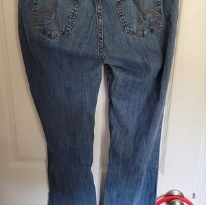 Lee Jeans for Ladies size 12L